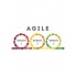 Agile Project Management