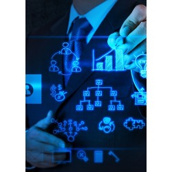 Business Intelligence: Data Analysis and Reporting Techniques  - Online Training