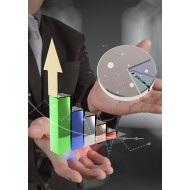 Certificate in Advanced Financial Modeling