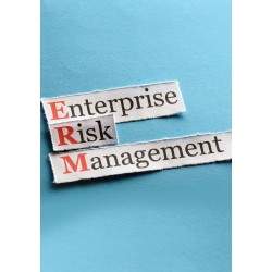 Enterprise Risk Management  - Online Training