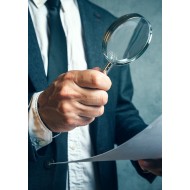 Forensic Accounting and Fraud Control