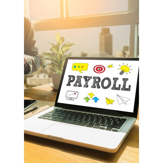 Payroll: Preparation, Analysis and Management