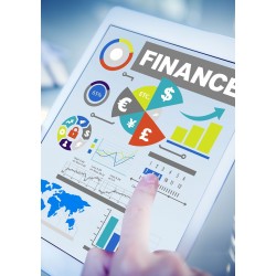 Professional Skills for Finance and Accounting  - Online Training