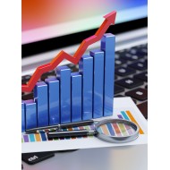 Trade Finance, Letters of Credit and Bank Guarantees