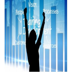 Advanced Strategic Planning  - Online Training