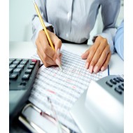 Budget analysis and reporting