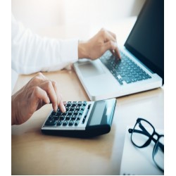 Accounting Control Techniques  - Online Training
