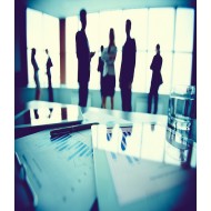Modern standards in human resources management  - Online Training