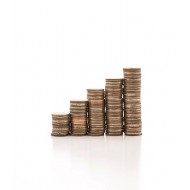 Preparing the estimated budgets